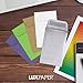 LUXPaper #1 Coin Envelopes in 80 lb. Silver Metallic, Envelopes for Coin Collections, Garden Seeds, Stamps, and More, w/Moistenable Glue 250 Pack, Envelope Size 2 1/4 x 3 1/2 (Silver)