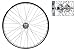 Wheel Master Rear Bicycle Wheel, 20
