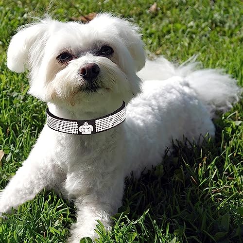 HALFSUMO Strass Hundehalsband Weicher Samt Leder Halsband Hundeleine Combo Set Niedliche Luxus Diamantbesetzt Bling Verstellbares Welpenhalsband für Kleine Mittelgroße Hunde Katzen Schwarz M