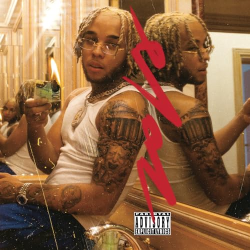 Sony Music Entertainment France Survie vinyle idéal pour vos soirées rap