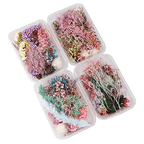 Flores Secas Prensadas para Resin Artesanías DIY miniatura 1