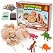 Produktbild Prehistoric World - Dinosaurier-Spielzeug - Dinosaurier-Ei-Ausgrabungs-Set - Enthält 12 Eier und Figuren + 12 Bonus-Lernkarten