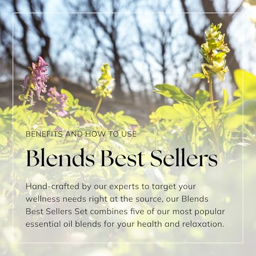 Nikura Essential Oils Blends Gift Set | Calming Essential Oils for Diffusers for Home, Sleep, Wax Melts | Relaxing Aromatherapy Oils Set | UK Made & Vegan - Image 6