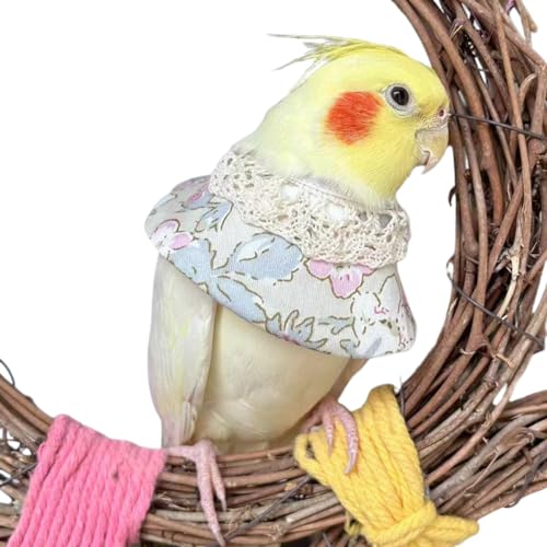 Copfeu Adjustable Bird Collar Anti Bite Elizabethan Recovery Cone, Bird Neck Protector for Feather Plucking, Skin-Friendly Bird Neckwear Full Body Shield (Large,Light Grey)