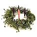 Advent Candles Set 1-1/2