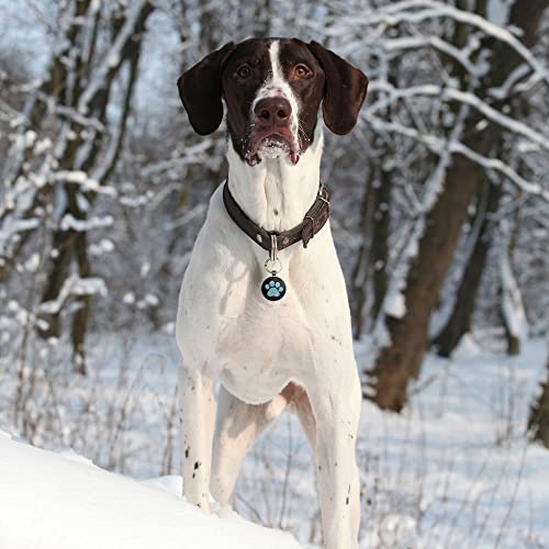 Kekid Dog Tags Personalized For Pets Custom Dog Tags Dog Name Tag Qr Code Pet Tags Smart Pet Id Tags Free Online Pet Page Prevent Lost/Modifiable Colorful Paw Print #TOP5