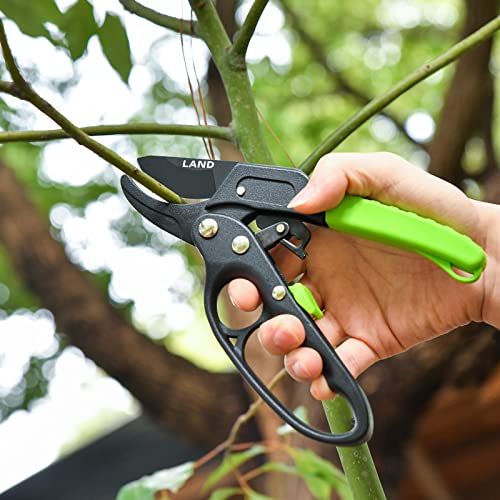 Tijeras de podar profesionales LAND 8" con trinquete miniatura 5
