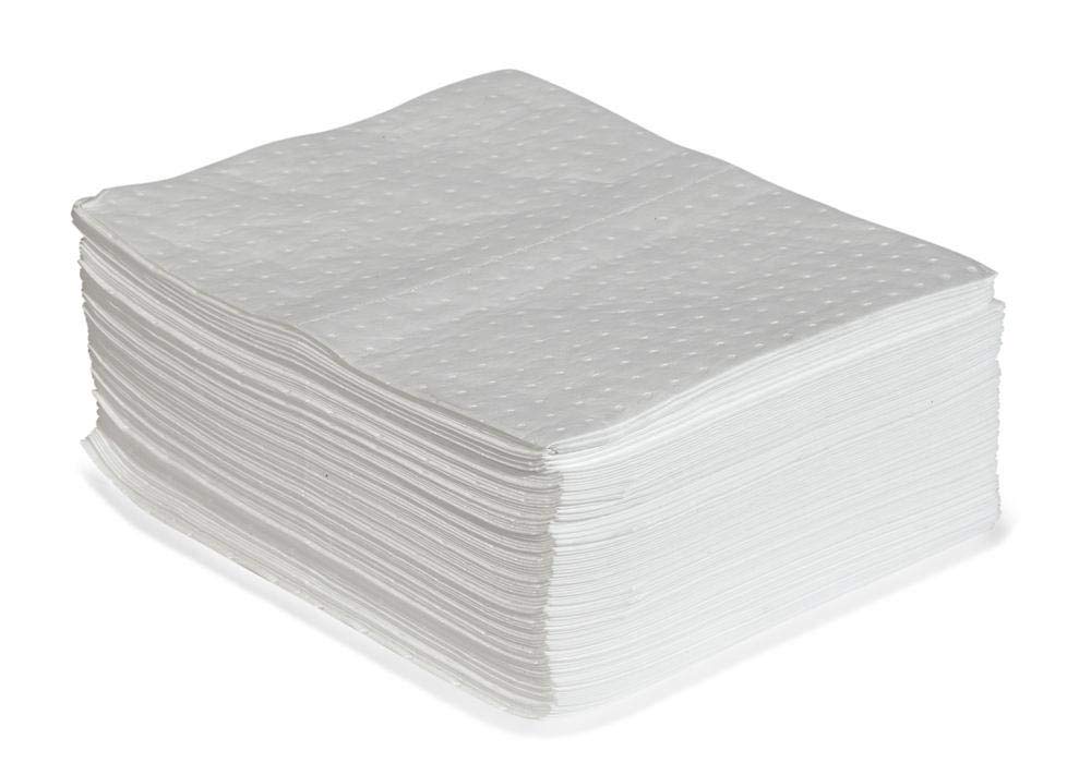 DENSORB Ölbindemittel Vlies Matten zum Aufsaugen, Economy Single, light, 40 x 50 cm, 100 Stück