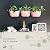 WallyGrow Eco Wall Planter, Create a Plant Wall with Hanging Planters for Indoor or Outdoor Use
