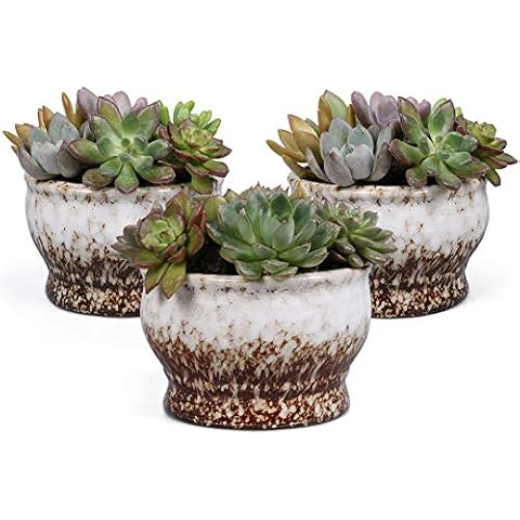Colorful Succulent Planter Ceramic Glaze Planter Flower Pots Indoor and Outdoor Set of 3 Cover