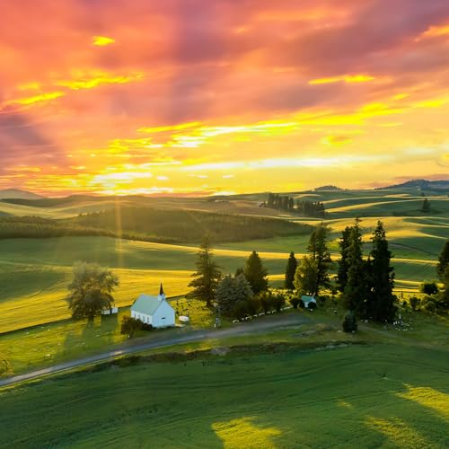 Freeze Church cover art