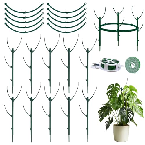 MXCOIRTP 10 Pack Stackable Plant Support Stakes for Indoor Plants, Adjustable Circular Trellis for Climbing Plants, Garden Plant Supports for Indoor Outdoor Use, Monstera, Pothos, Tomato