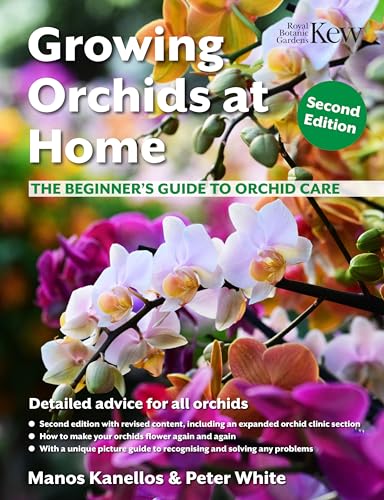 Growing Orchids at Home: The Beginner&rsquo;s Guide to Orchid Care