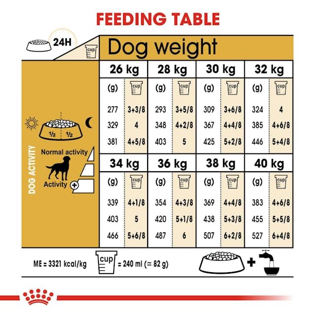Royal Canin Labrador Retriever Adulto sterilizzato 12 kg