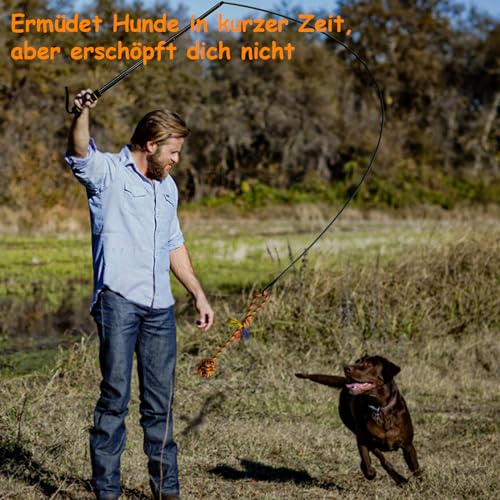 Aitmexcn Reizangel Hund, Eizangel Hunde Martin Rütter, Ausziehbar Robuste Flirt Pole für Kleine & Große Hunde und Katzen - Robuste & Leichte