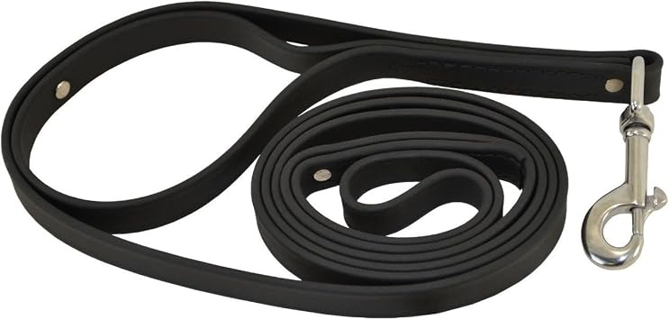 Ray Allen Biothane Leash with Traffic Handle 1/2" Wide by 6 Long