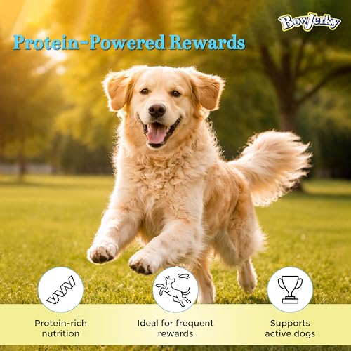 Image of Premium Chicken & Milk Dog Treats 800gm High Protein Dog Treats for Training & Reward Healthy Dog Snacks Nutrient Rich Jerky Sticks for Puppies Adults Senior Dogs All Breeds