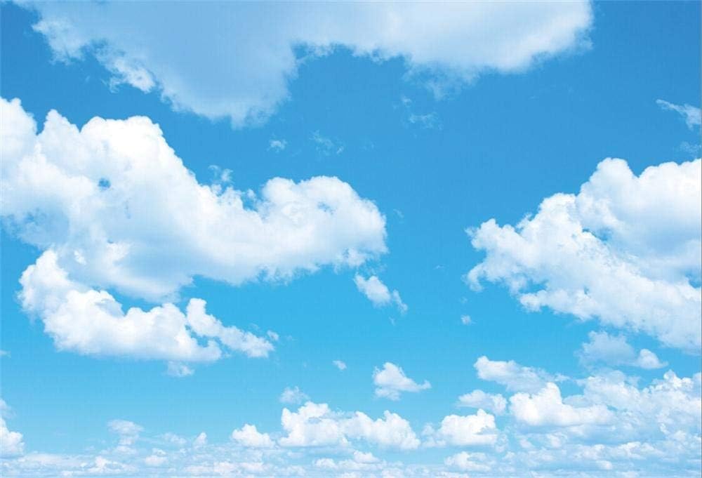 Amazon Gooeoo 青空雲写真の背景10x6 5ft雲景青空白い雲の背景新生児子供子供子供大人肖像画背景スタジオ写真小道具 Gooeoo バックペーパー 背景布 Amazon Gooeoo 青空雲写真の背景10x6 5ft雲景青空白い雲の背景新生児子供子供子供大人肖像画背景スタジオ写真小道具 Gooeoo バックペーパー 背景布