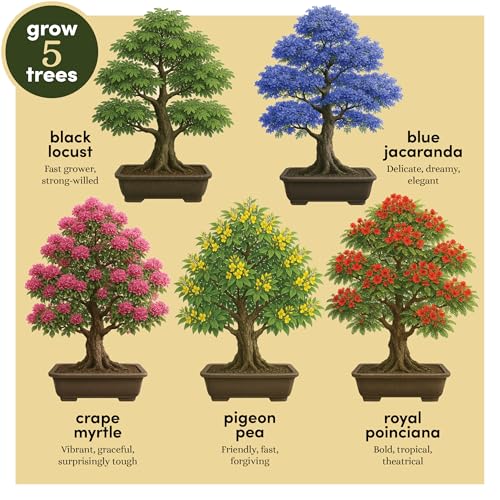 Planter's Choice Bonsai Tree Starter Kit Review