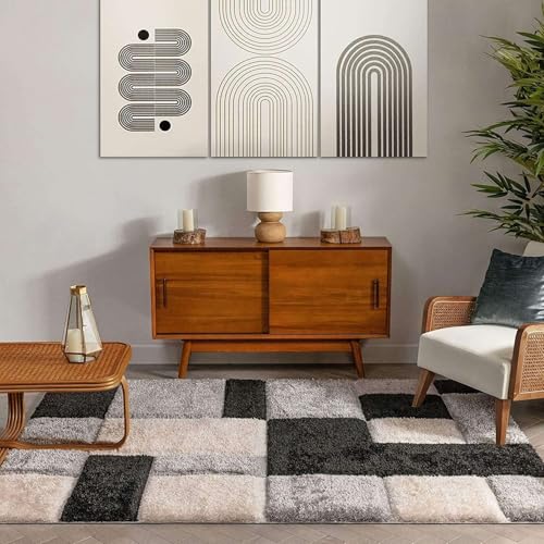 Image of Ultra-Soft Shaggy Carpet (4 X 6 FEET, Black Silver Ivory) Fluffy, Cozy & Durable Area Rug for Living Room, Bedroom & More ? Premium Modern Design