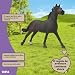 Imagen de schleich Horse Club