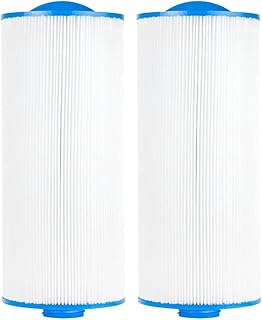6CH-960 Spa Filter Replacement for Pjw60TL-F2S, Darlly 60521,Filbur FC-2800, Aladdin 15203, 6540-476, Acuzzi Premium J-300 and J400, Hot Springs Spa Filters, 2 Pack