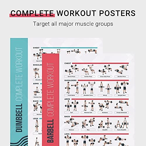 FitMate Dumbbell and Barbell Workout Exercise Poster, 2-Pack, Workout Routine with Free Weights, Home Gym Decor, Room Guide (51 x 76 cm)