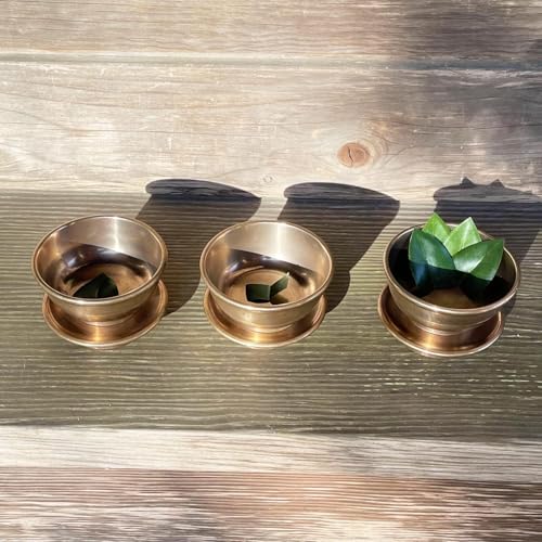 shingon.shop 樒 造花 葉のみ リアル樒の葉 常香華 寺院御用達品 14枚入り [4]