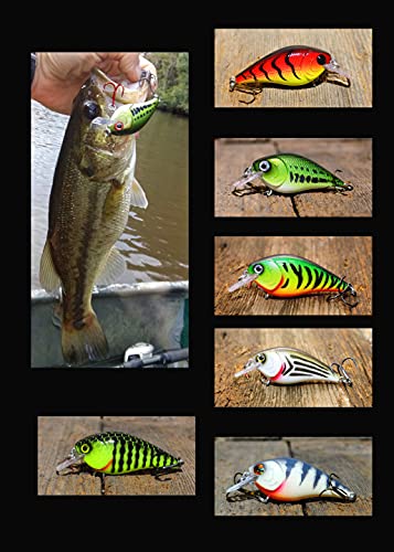 wLure Hard Plastic 3D Stencil Fishing Lure Crankbait Jerkbait Lipless Topwater (SUPHC15)