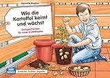 kartoffelstock tätschli  Wie die Kartoffel keimt und wächst: Sachgeschichten für unser Erzähltheater. Entdecken. Erzählen. Begreifen. Kamishibai Bildkartenset.
