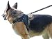 Dog Harness for Large, Medium or Small Dogs - Complete Harness & Leash Set; Reflective, Adjustable Harness With Handle. Excellent for Training, Walking, Hiking. No Pull Effect.