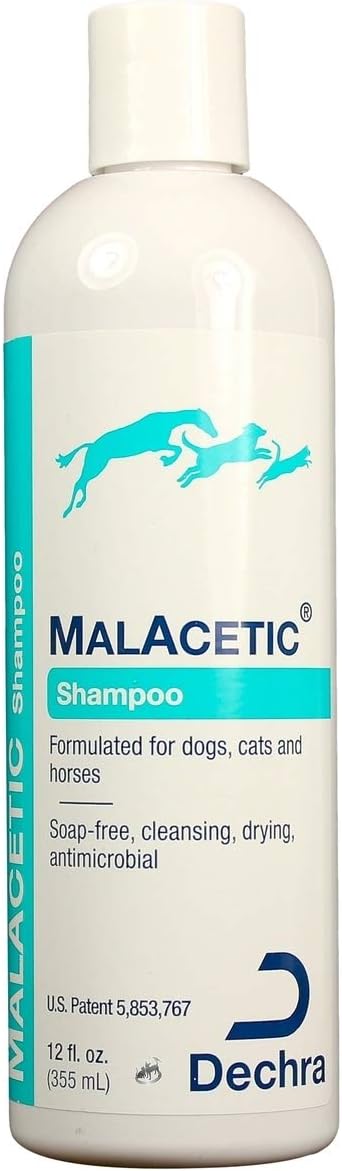 MalAcetic Shampoo (12 oz)