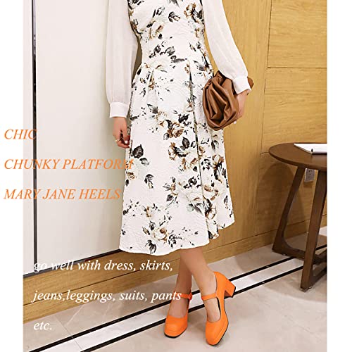 LEHOOR Women Chunky Platform Mary Jane Shoes 3 Inch Heel Square Toe Buckle Ankle Strap Dress Shoes Lolita Pumps Goth Punk Heels Closed Toe Sandals for Ladies Girls Vintage Office Spring Size 4-15 M US3