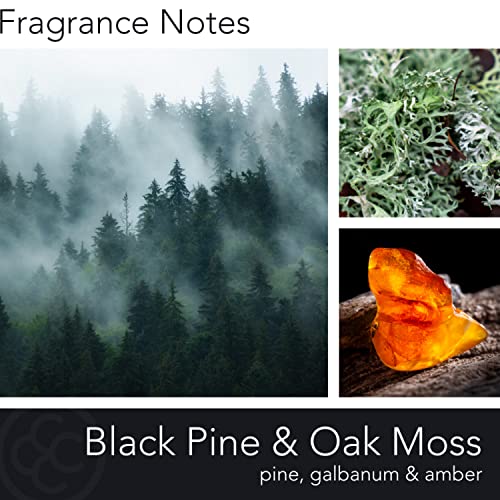 Manly Indulgence Black Pine & Oak Moss Scented Jar Candle, Signature Collection, Wood Wick, Dark Grey, 15 Oz - Up To 60 Hours Burn #TOP1