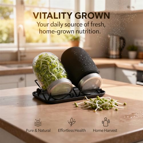 Kit de germination durable en verre Mason et acier inoxydable de qualité - 3