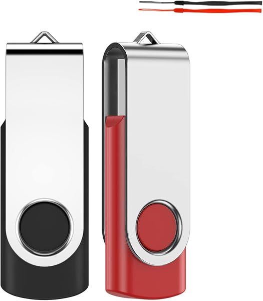 Cle USB 64 Go, JEVDES Clé USB 64Go Lot de 2 Clef USB 2.0 Mémoire Stick Stockage Pendrive Flash Drive avec Cordes et LED Indicateur (2 Couleurs) - 1