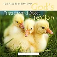 Everything Yellow: God's Fantastic and Sweet Creation: Children's Christian Book Treasury 1512326488 Book Cover