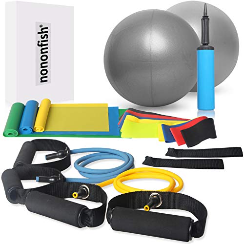 Workout Bands Resistance for Women, Exercise Bands with Handles Attached and Door Anchor Power Tube Bands, Thigh Bands for Workout, Long Workout Elastic Bands and Pilates Ball Small for Home Workout