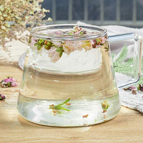 通用 50g-500g Nuevo té de Flores Melocotón seco Premium a Granel Flor de melocotón Fresco Cuidado de la Salud Chino (250g) - Imagen 8
