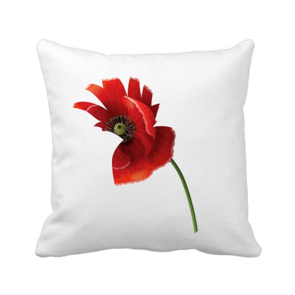 Coussin pavot rouge pour raviver un canape terne avec une deco peinture artistique