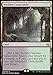 Magic: The Gathering Singles Verdant Catacombs (249) Modern Masters 2017, Land, MM3249