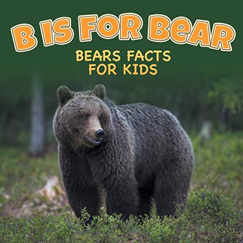 B is for Bear: Bears Facts For Kids