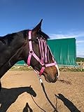 🐴 Stylisches Pferde Zubehör: Alles passt perfekt zusammen. Das Halfter Pferd & Fliegenmaske für Pferde passen farblich perfekt zusammen. Erhältlich als Halfter Shetty, Pony Halfter, Halfter Set Vollblut, Halfter Set Warmblut, Halfter Kaltblut.