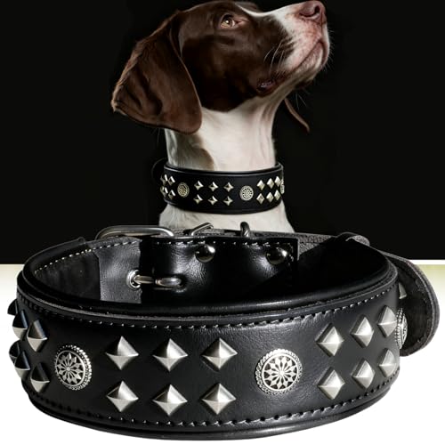 EliteGuard Hundehalsband Leder, 5,6 cm Breit, Handgefertigt Mit Nieten Und Edelstahlschnalle, Für Den Täglichen Gebrauch Bei Großen Hunden, Schwarz L