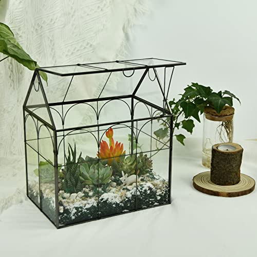 Large Tall Plant Terrarium Glass – Glass Greenhouse Terrarium With Lid, 8.7"X5.9"X10.6" Inches Indoor Tabletop Orchid Succulent Cacti Terrarium Kit Na (House Black A) #TOP4