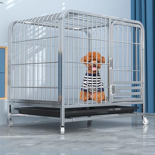 Cage de transport robuste pour chien destructeur : résolvez les problèmes de propreté