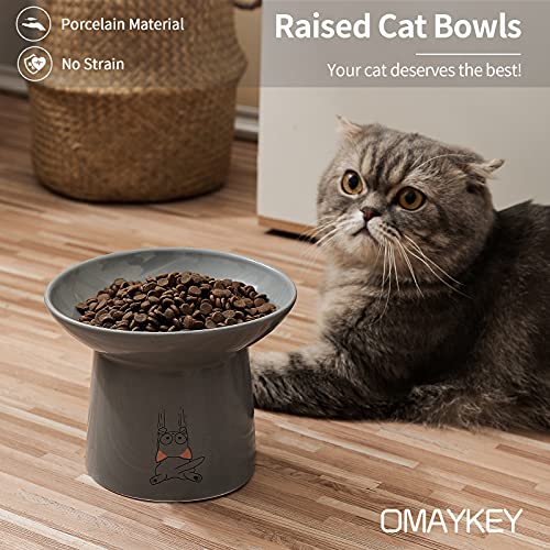 6.5 Inch Extra Wide Ceramic Raised Cat Bowls, Upgraded Elevated Porcelain Cat Food Water Bowl Dish, Stress Free Pet Feeder Bowls Dishes For Elder Big Cats & Small Dogs, White & Grey #TOP2