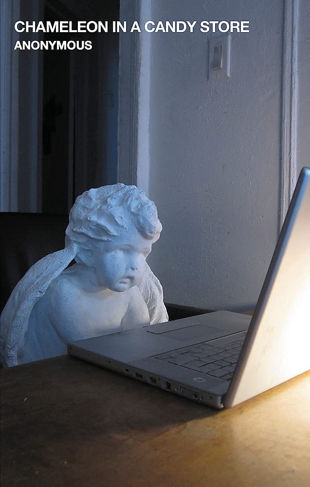 Corsair Chameleon in a Candy Store Paperback – Big Book, 14 March 2017