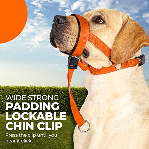 Dog Head Halter With Safety Strap - Headcollar - No-Pull Dog Collar – Perfect For Leash & Harness Training Medium And Large Dog Sizes (Size M (Pack Of 1), Orange) #TOP6