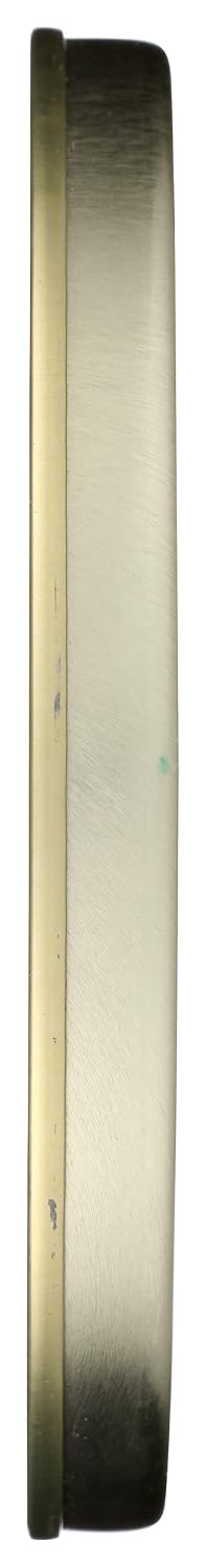 Delicius, Fillets Anchovy Cantabrian Sea In Olive Oil MSC, 3.2 Ounce